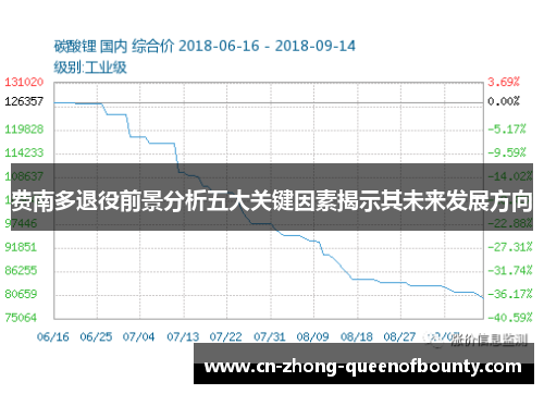 费南多退役前景分析五大关键因素揭示其未来发展方向