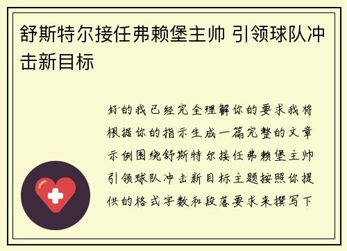 舒斯特尔接任弗赖堡主帅 引领球队冲击新目标